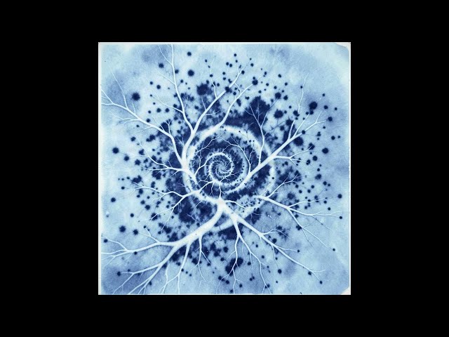 Pattern Formation — A Field Learns Its Shape