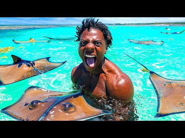 irl stream in Antigua and Barbuda 🇦🇬