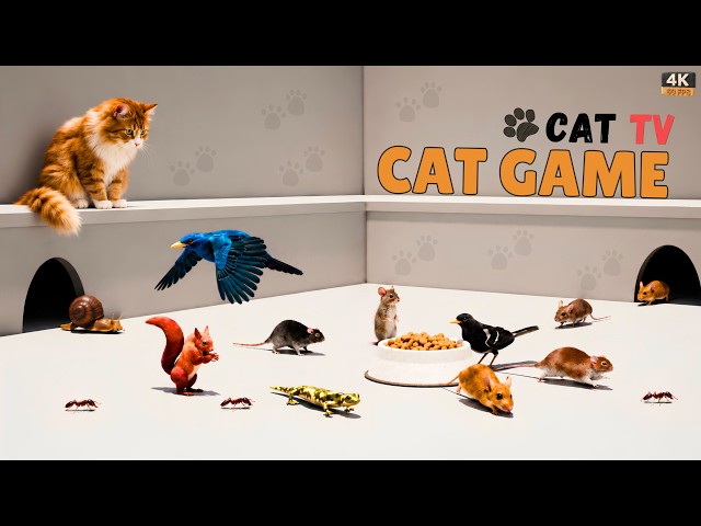 CAT GAMES 🐾CAT TV | 3D Game for Cats | Videos for Cats🐭 Mice Hide in the Mouse Holes! | 4K 60FPS