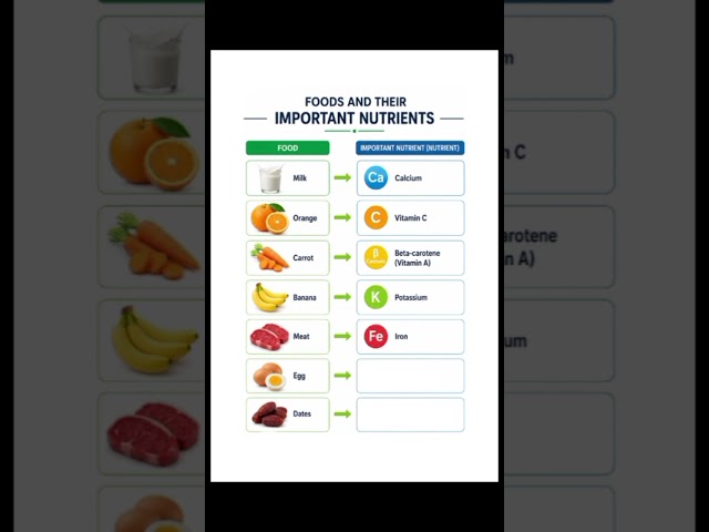 7 Healthy Foods and Their Amazing Nutrients! 🥛🍊🥚 #Shorts #facts