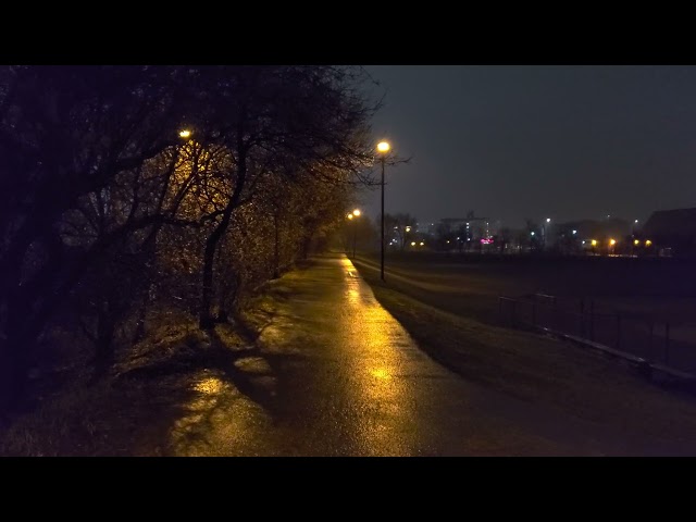 Rain