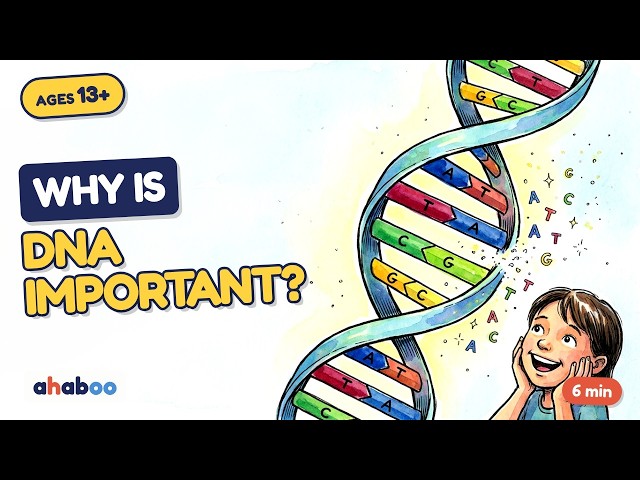 Why is DNA important? | Sketchbook Explainer for Teens & Adults