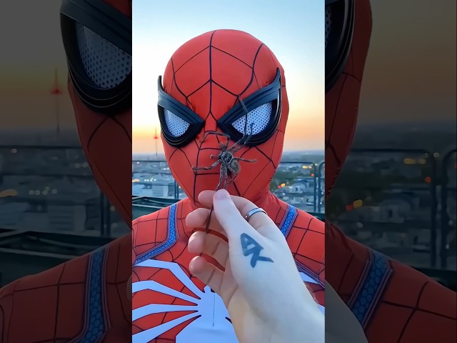 Spider man new viral clip 🥰 #spiderman2 #spiderman