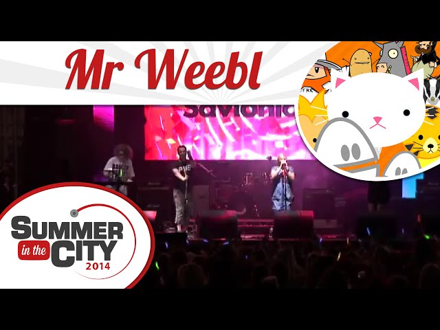 Mr Weebl LIVE at SitC 2014