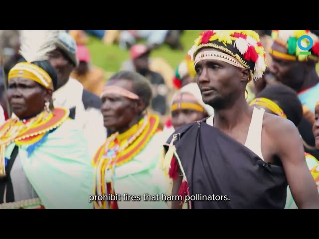 How Indigenous Communities Are Protecting Nature’s Last Strongholds