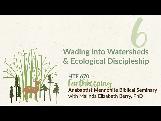 Wading into Watersheds & Ecological Discipleship | Malinda Elizabeth Berry, PhD | AMBS