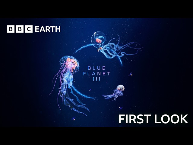 FIRST LOOK: Blue Planet III Trailer | Featuring JADE & Hans Zimmer | BBC Earth