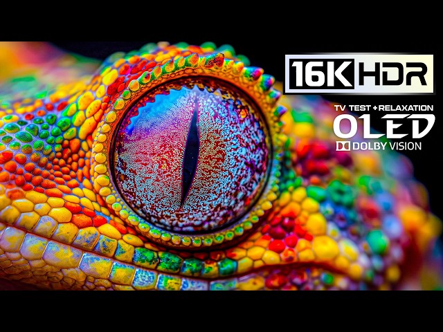 Absolutely Perfect OLED Display Test: 16K Dolby Vision HDR 120 fps for 8K • 4K Video Ultra HD TVs