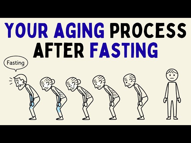 What Happens to Aging Process When U Use Intermittent Fasting Long Term (Science Explained)