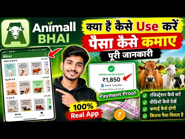 What is Animall app | How to use Animall app | Animall app review | Animall app
