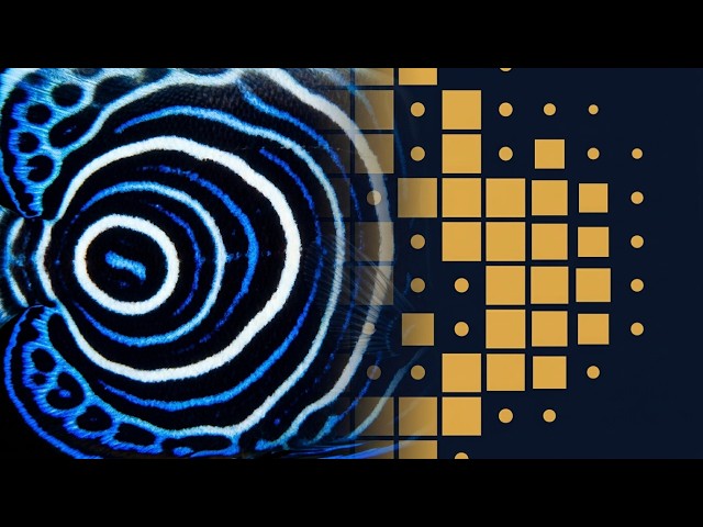 Alan Turing's Last Theory Explains Animal Spots