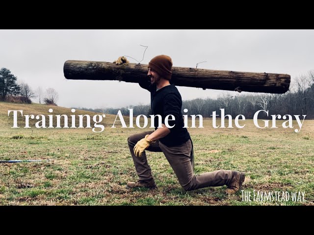 Training Alone in the Gray | Primitive Outdoor Workout