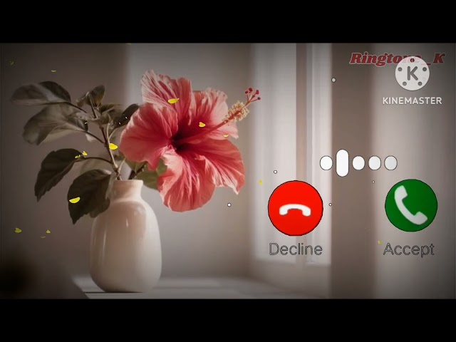 Mobile phone ringtone ||Notification Ringtone || SMS Ringtone || Message Ringtone || SMS Sound