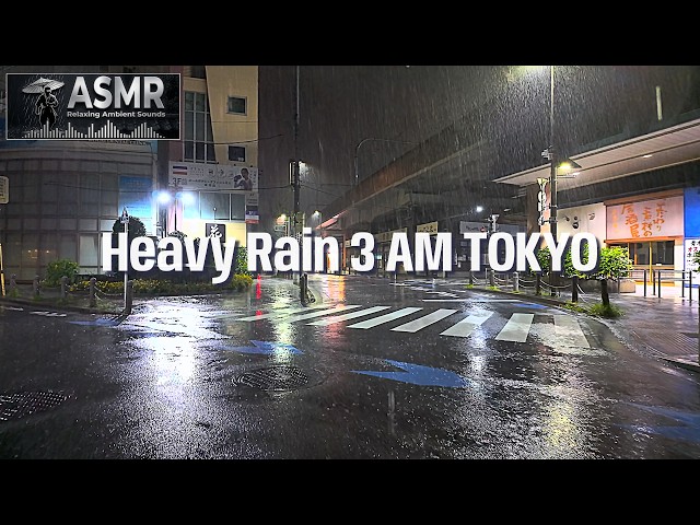 [ASMR] Heavy Rain 3 AM Walk Back Into Empty Tokyo Alleys | Japan 4K HDR