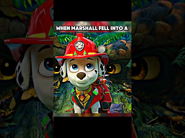 Marshall s kindness came back to save him | paw patrol edit #shorts #pawpatrol