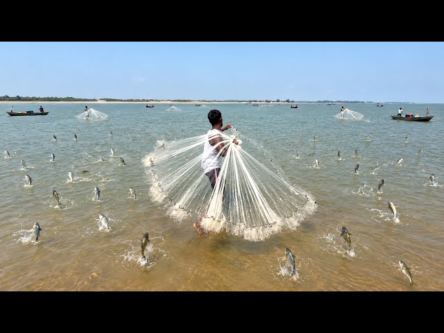 Net Fishing Video - Very Amazing Skill Cast Net Fishing In River - Best Net Fishing 