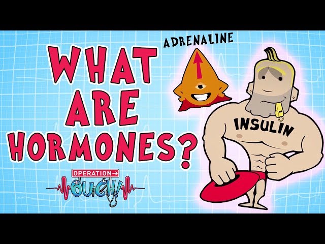 Operation Ouch - Hormones | Biology for Kids
