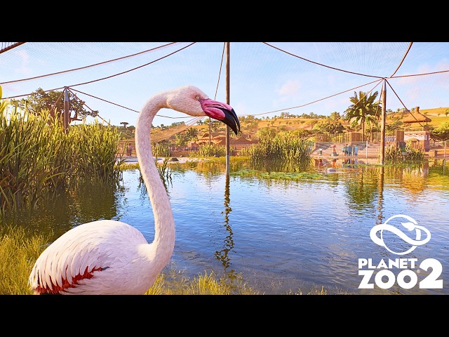 Making an Ethical Flamingo Wetland Habitat in Planet Zoo 2