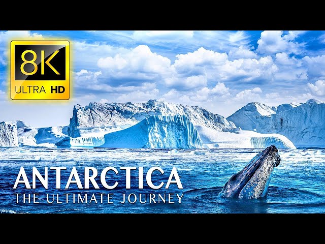 Antarctica in 8K HDR 60FPS