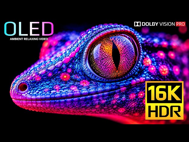 HDR at Full Power | 16K 120fps Dolby Vision (4K/8K OLED TV Demo)