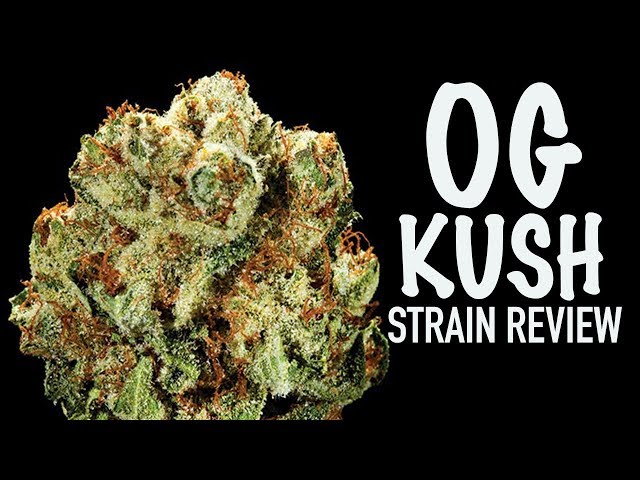OG KUSH STRAIN REVIEW
