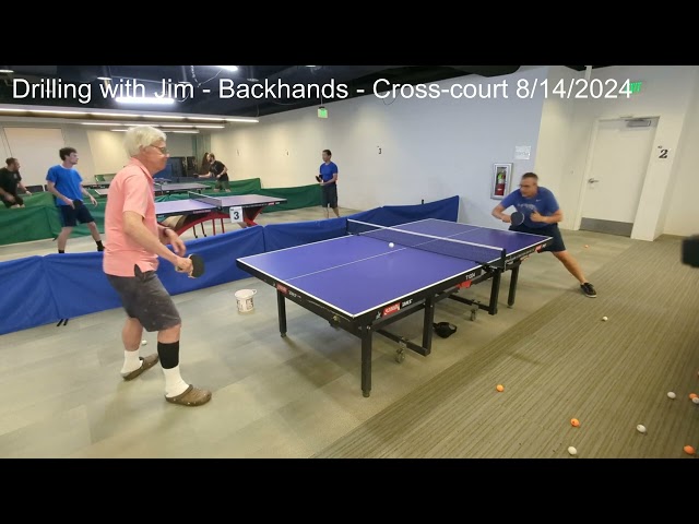 Cross-Court Backhand Practice with a Hardbat Player: Table Tennis Challenge in 4K