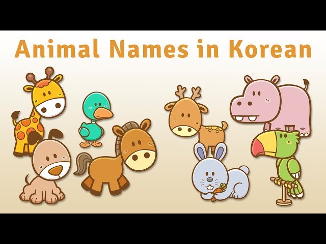 Animal (동물) Names in Korean - Korean Vocabulary