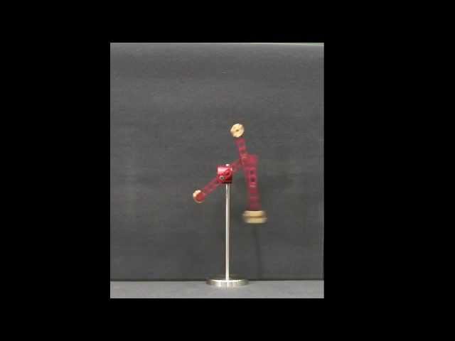 PH ME DY DEMO 70045A V0521 Triple Pendulum Some Chaotic Behaviour