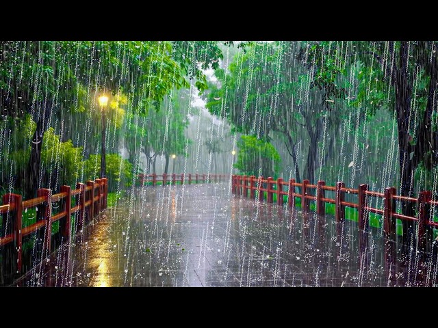 Get Rid of Insomnia FAST with Gentle Rain Sounds on a Deserted Road at Night