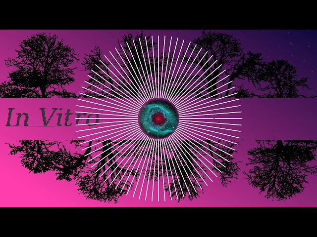 In Vitro Retrospective Live Set