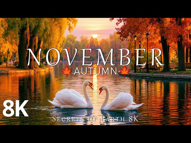 Late Autumn 2026 4K 🍁 Beautiful Forests, Misty Mountains & Calm Waters Sao chép