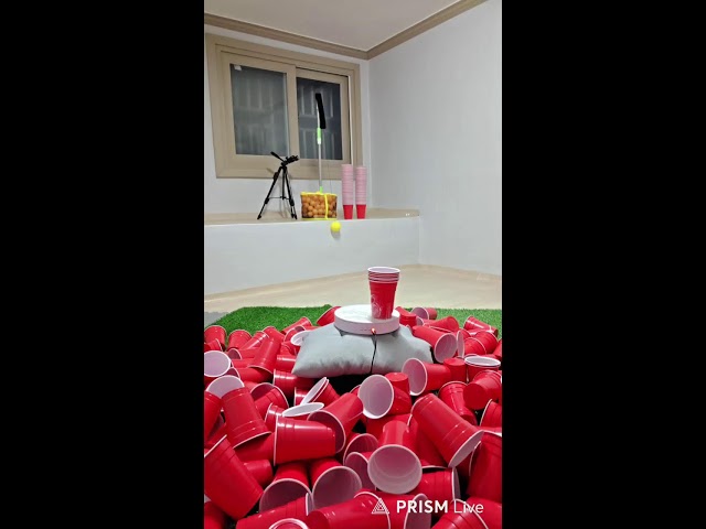 day-104 bottle cups pingpong trickshot challenge in dubai