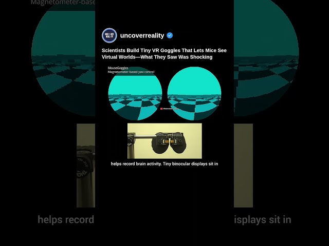 These Tiny VR Goggles Lets Mice See Virtual Reality Worlds #tech #virtualreality #shorts