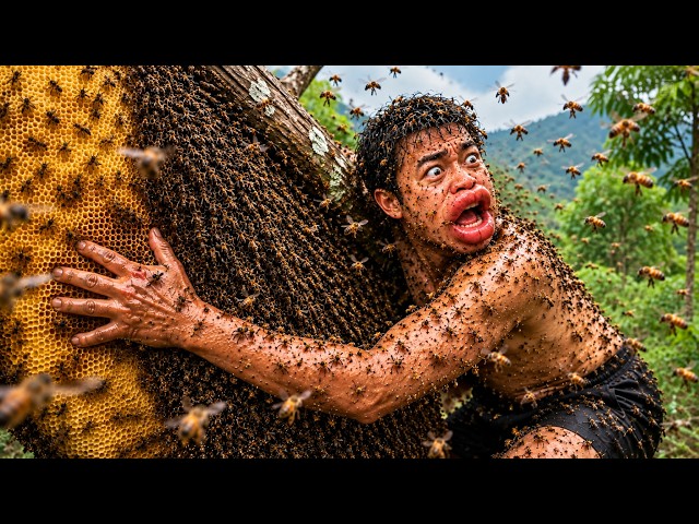 Risking It All for Wild Honey at 100m Swarmed by Hundreds of Angry Bees