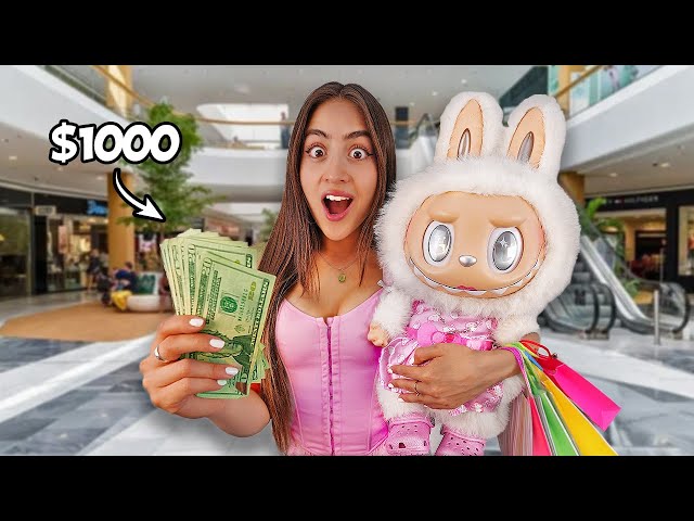 I Spent $1000 on a HUGE LABUBU Shopping Spree!
