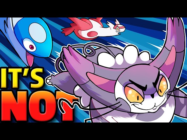 They Say This Fat Cat is FASTER than a Jet...