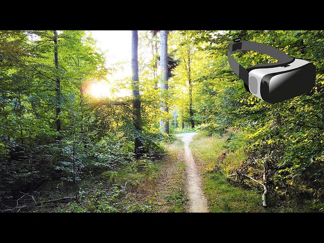 3D VR Walking In The Forest - Walking in the Woods (only nature sounds, no music)