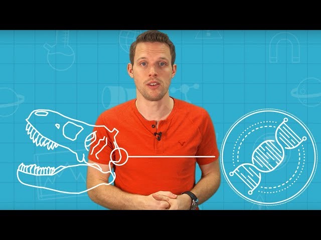 Can You Become A Fossil? | Earth Science