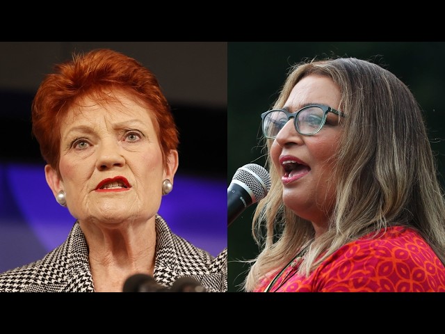 ‘White, privileged colonialist male’: Hanson unloads on Faruqi’s Greens leadership meltdown