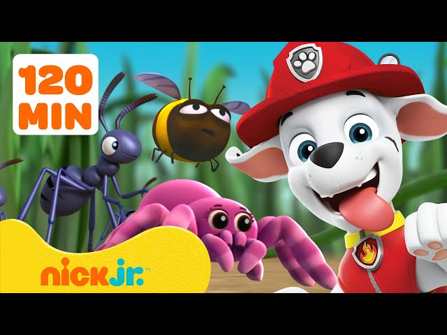 PAW Patrol Bug Rescues & Adventures! 🐝 | 2 Hours | Nick Jr.