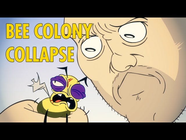 Bee Colony Collapse : animated music video : MrWeebl