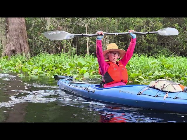 Okefenokee Paddle to Minnie's Lake, Suwannee River 2026-09-07