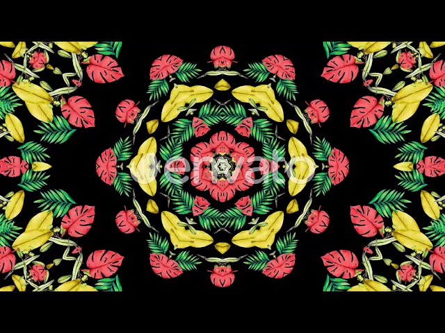Colorful Tropical VJ Pack