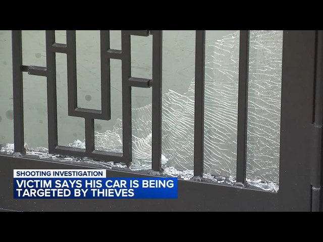 Homeowner shot through back door: 'I can't understand why people doing this?'