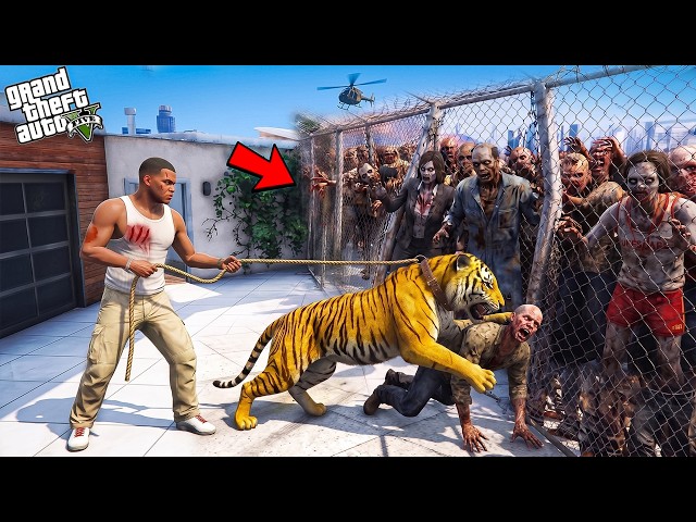 Franklin & Shinchan Find a TIGER to Survive the Zombie Apocalypse! 🧟‍♂️🐯 | GTA 5