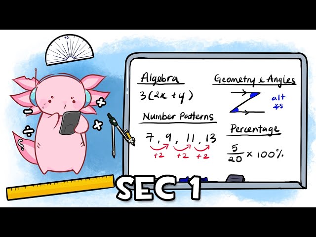 ULTIMATE GUIDE to O Level Math – ALL SEC 1 TOPICS