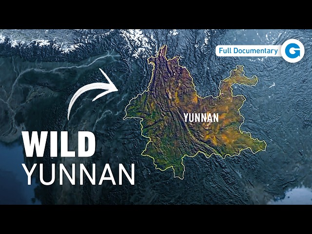 The Rare Animals Found Only in China's Wildest Province | Full Documentary