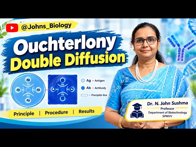 Ouchterlony Double Diffusion @Johns_Biology