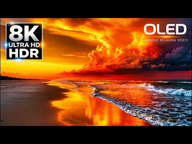 Extreme HDR Experience in 8K HDR 60fps | OLED Showcase (4K/8K TV Demo)