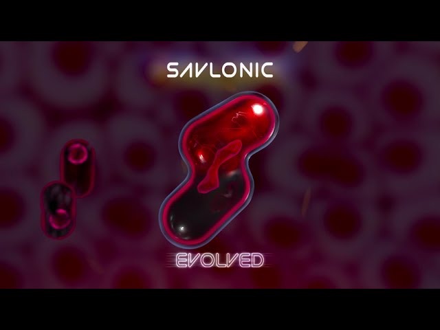 Savlonic : Evolved  album launch.